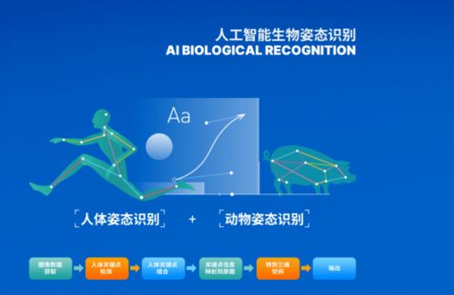 智博會第二日聚焦 網絡技術服務亮點全解析