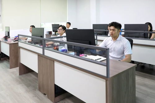 謝崗文旅發(fā)展正式揭牌，商業(yè)綜合體管理服務(wù)助力區(qū)域發(fā)展加速鍵